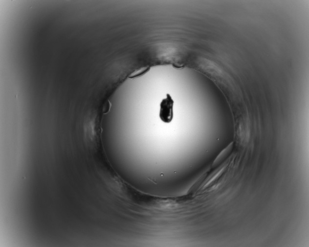 X0000088680424200706071430