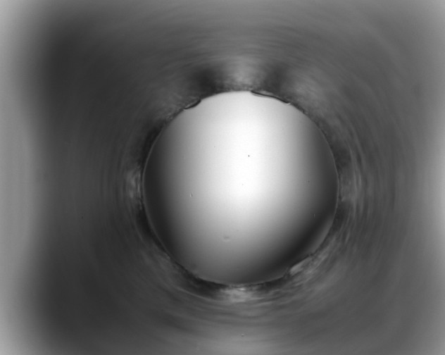 X0000088680425200706071430
