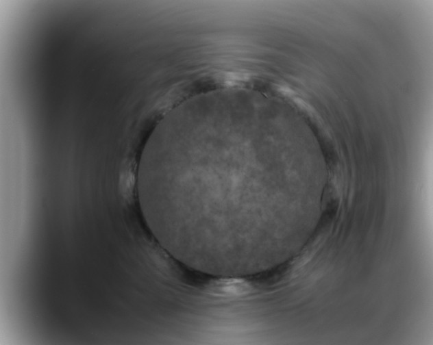 X0000088680427200706071430