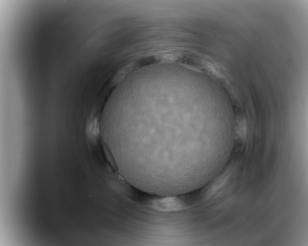 X0000088680431200706071430