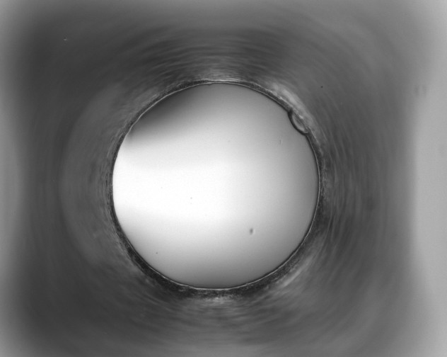 X0000088680433200706071429