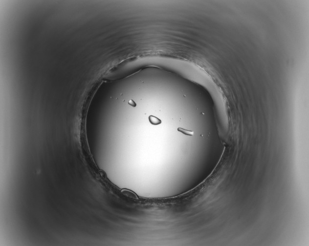 X0000088680434200706071429