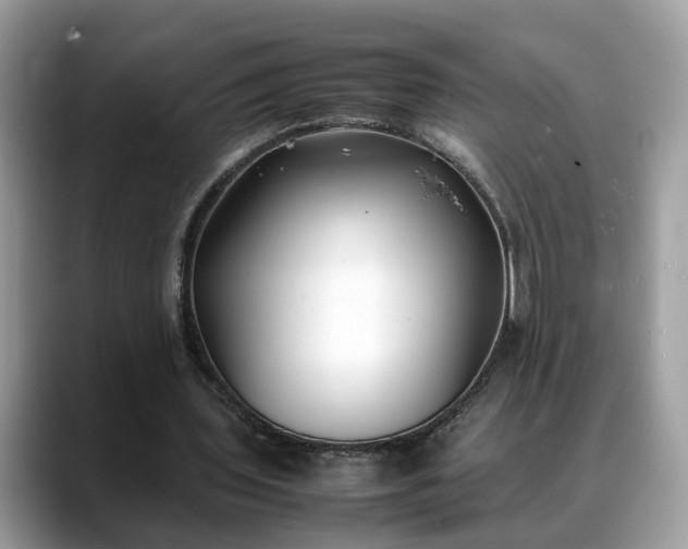 X0000088680435200706071429