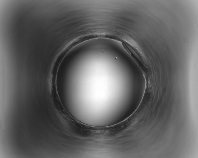 X0000088680436200706071429