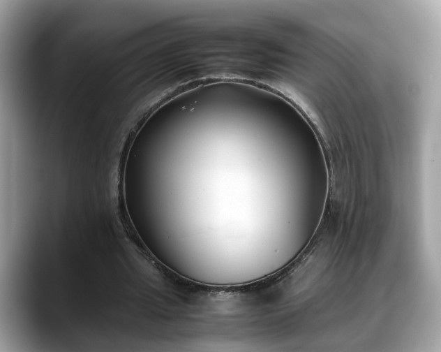 X0000088680437200706071429