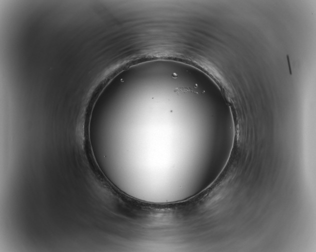 X0000088680438200706071429