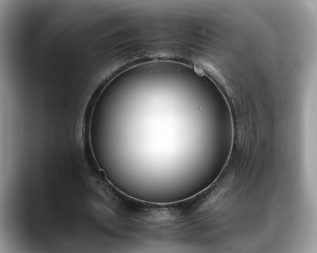 X0000088680439200706071429