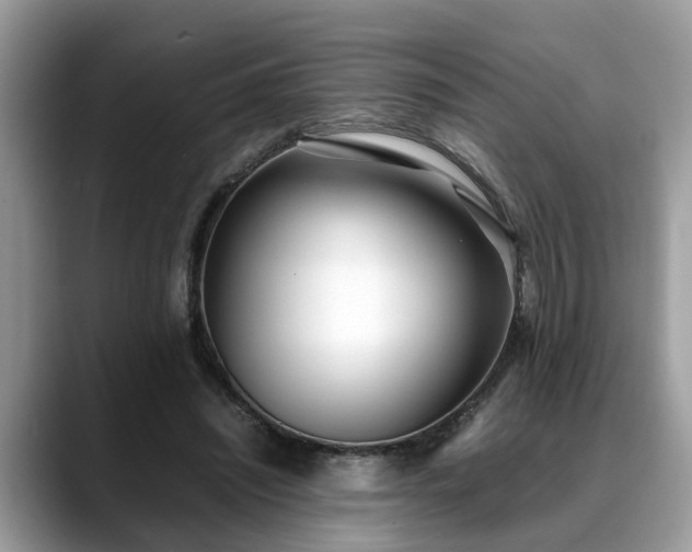 X0000088680444200706071429