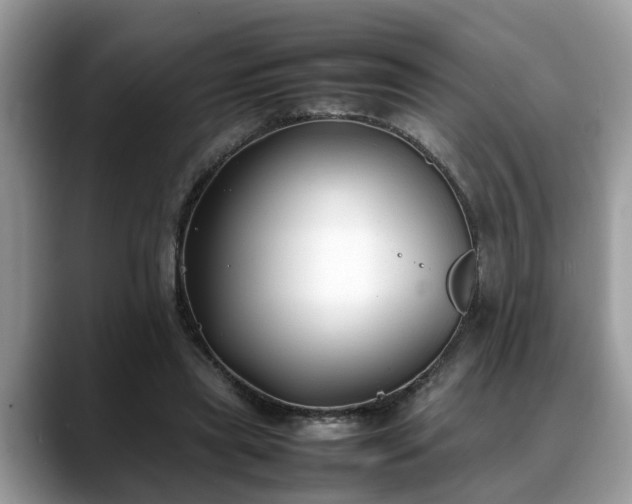 X0000088680445200706071429