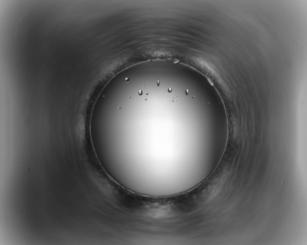 X0000088680447200706071429