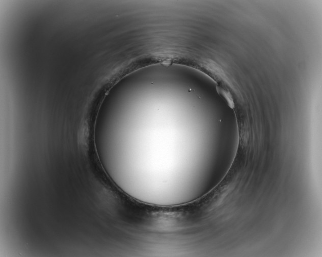 X0000088680448200706071429