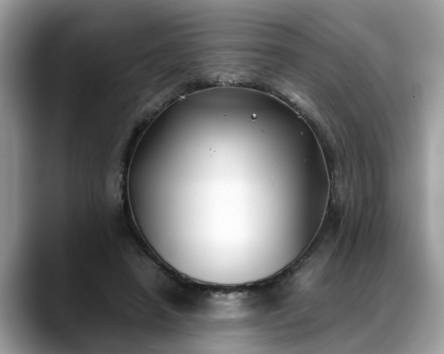 X0000088680450200706071429
