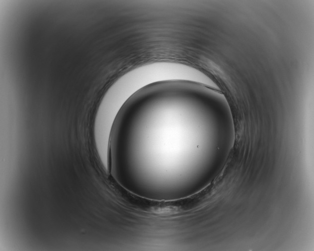 X0000088680452200706071429