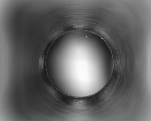 X0000088680454200706071429