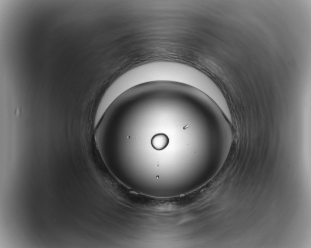 X0000088680456200706071429
