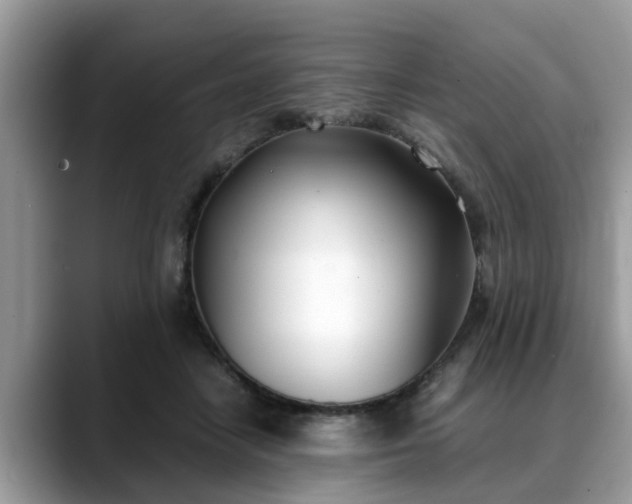 X0000088680458200706071429