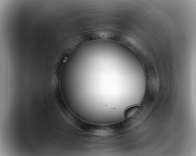 X0000088680459200706071429