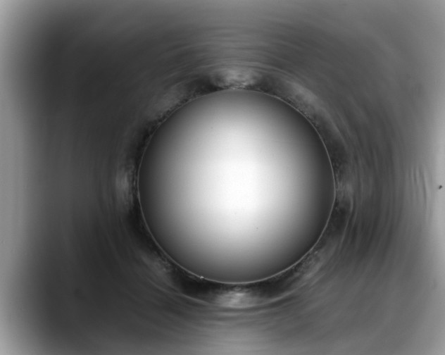 X0000088680460200706071429