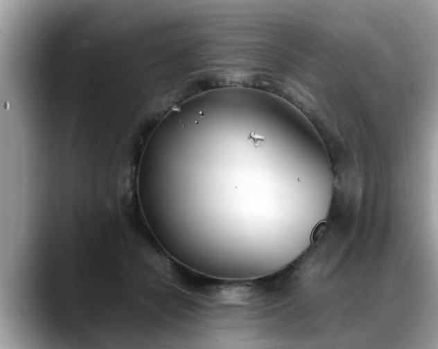 X0000088680462200706071429