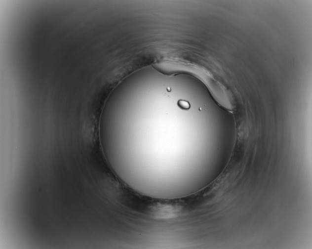 X0000088680464200706071430