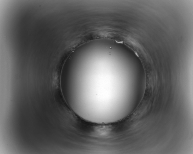 X0000088680465200706071430