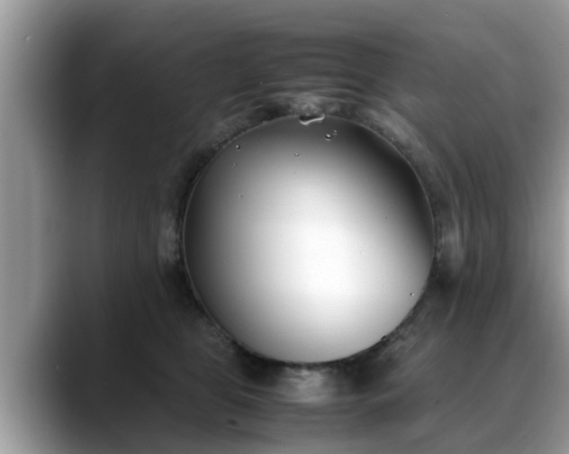 X0000088680469200706071430