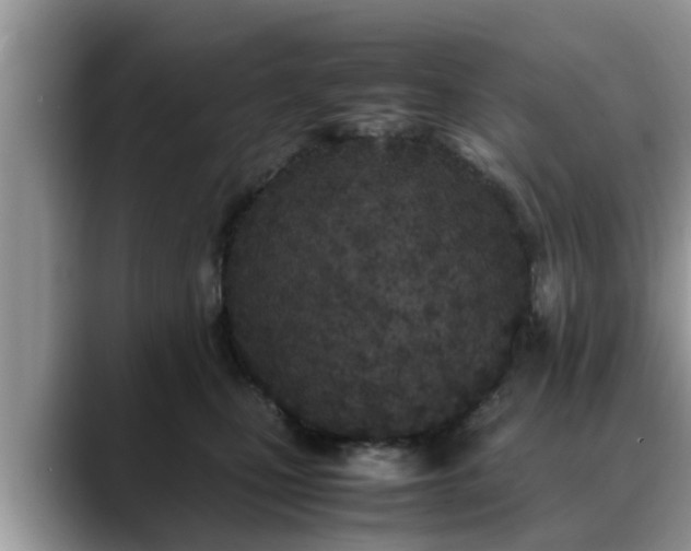 X0000088680471200706071430