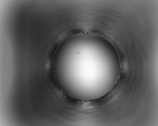 X0000088680472200706071430
