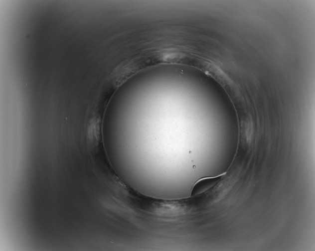 X0000088680475200706071430