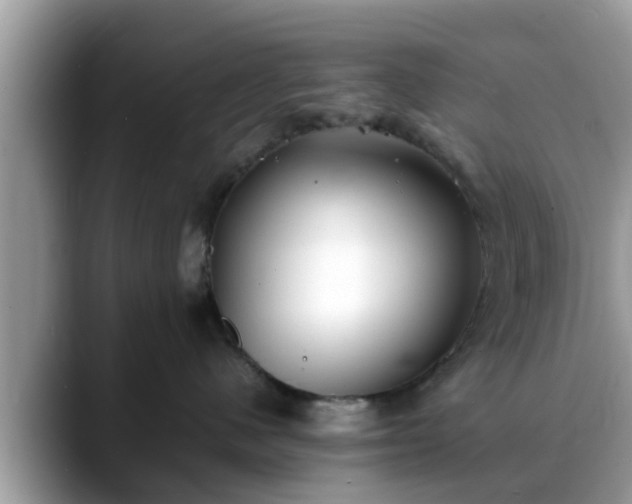 X0000088680480200706071430