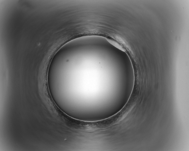 X0000088680481200706071429