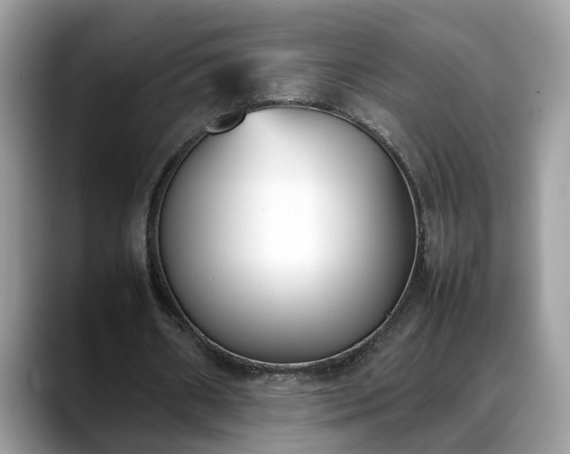 X0000088680482200706071429