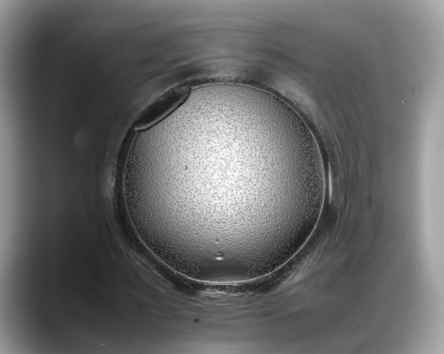 X0000088680483200706071429