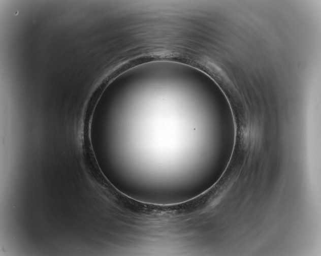 X0000088680484200706071429