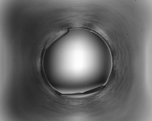 X0000088680485200706071429