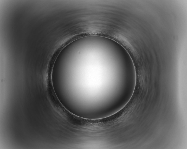 X0000088680488200706071429