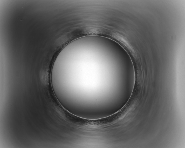 X0000088680489200706071429