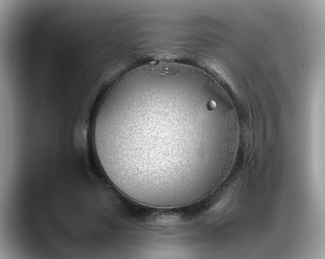 X0000088680491200706071429