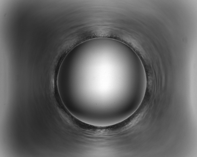 X0000088680493200706071429