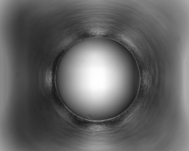 X0000088680494200706071429