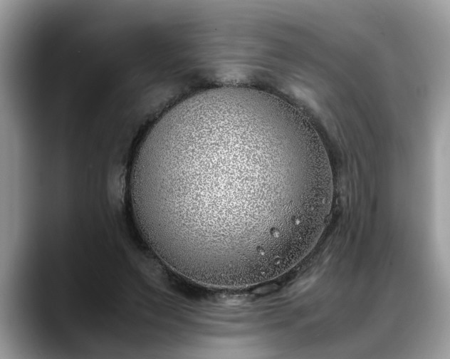 X0000088680495200706071429