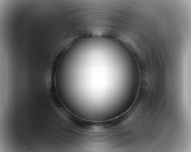 X0000088680496200706071429