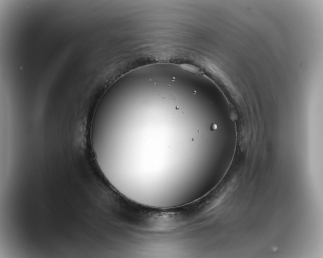 X0000088680497200706071429