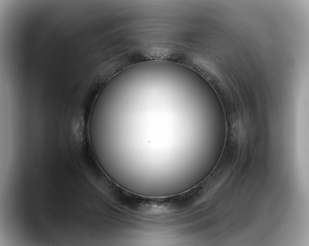X0000088680498200706071429