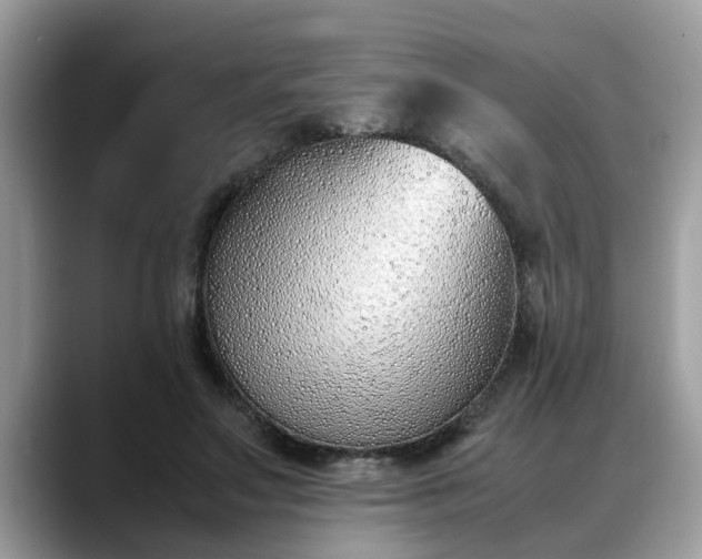 X0000088680499200706071429