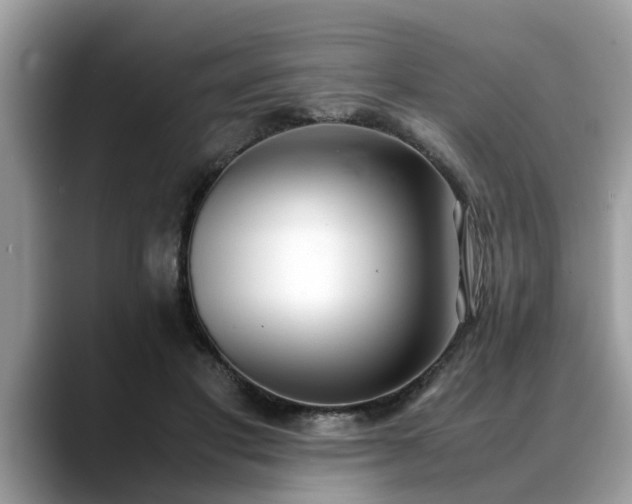 X0000088680501200706071429