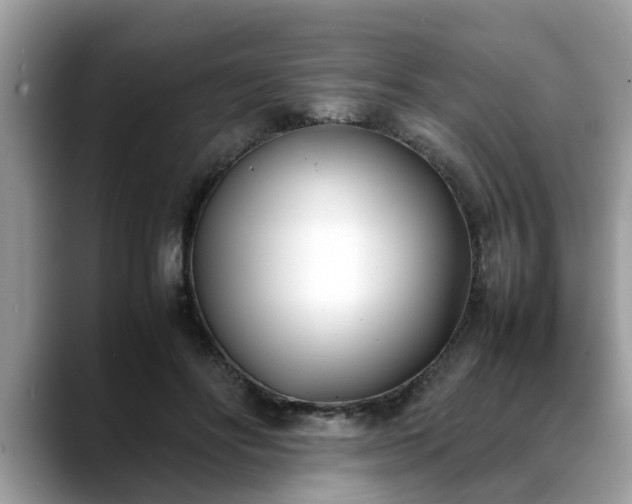 X0000088680502200706071429
