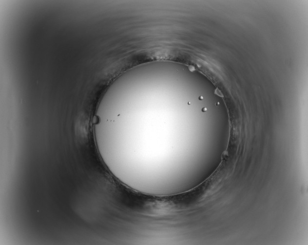 X0000088680503200706071429