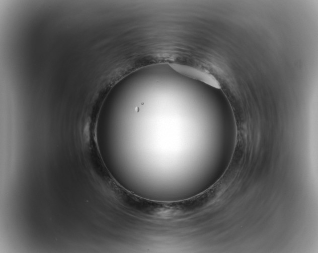 X0000088680504200706071429
