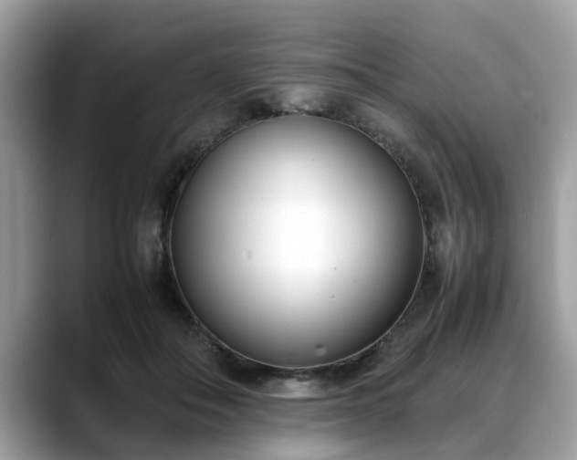 X0000088680506200706071429